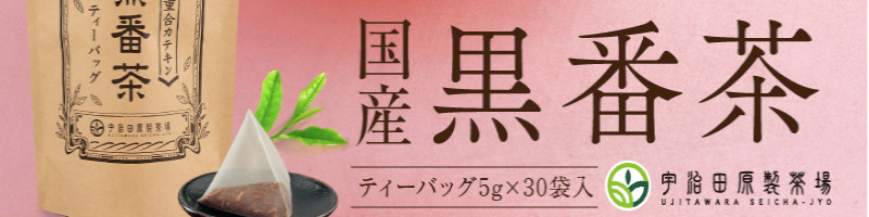 �F���c��������@���Y���Ԓ����T�C�g